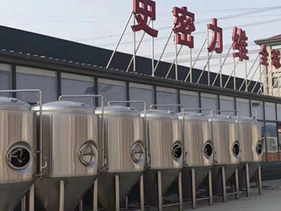 南和精酿啤酒设备厂—市场规模与跨界新需求